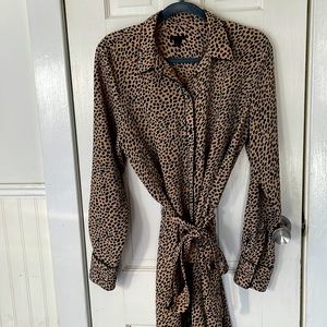 Ann Taylor Tunic Dress